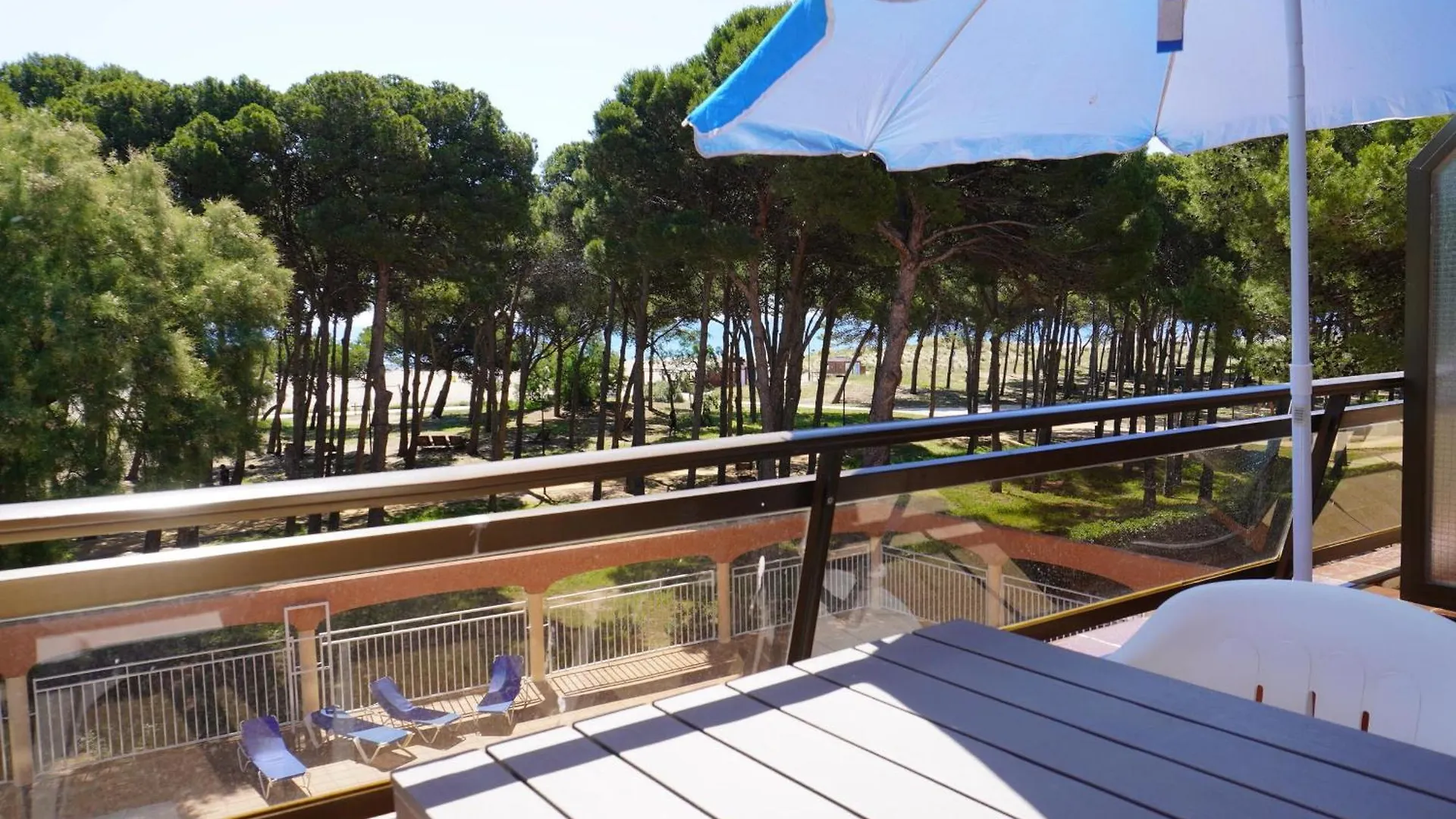 Apartment Apartamento En Primera Linea De Playa Con Piscina Y Terraza - L'Estartit - Es-323-26